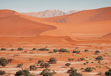 Sapir Bachar's Jewelry Label